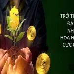 nhà cái hoa hồng cao